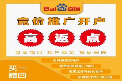 百度推广实战攻略：案例与策略