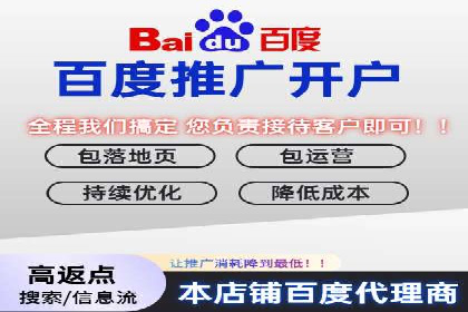 百度SEO推广公司案例精选：揭秘关键词优化策略